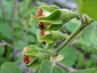 DSC05603.JPG