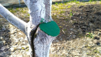IMG_20170409_145231.jpg