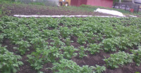 IMG_20371231_223301.jpg