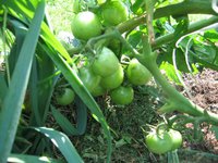 IMG_5285.JPG