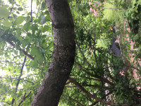 19ACEC14-5423-4F79-87B0-02F62F46C7EE.jpeg