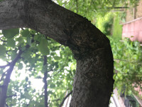 D485D6DD-1A19-4A4E-A530-100238914B9F.jpeg