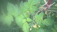 WP_20180606_07_46_41_Pro.jpg