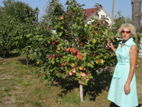 Скобарь1.jpg