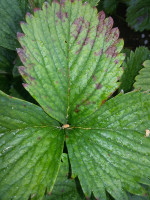 20180608_115354.jpg