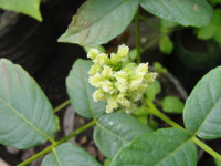 DSC05640.JPG
