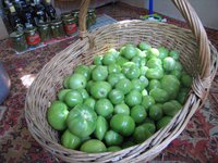 IMG_5306.JPG