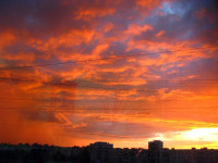 IMG_0380-1.jpg