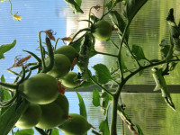 IMG_7857.JPG
