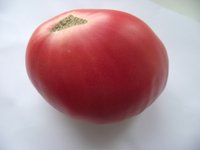 Розовый мед1.jpg