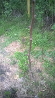 VK_Photo_636653200233400097.jpg