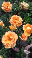 20180623_125301.jpg