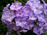 IMG_20130814_013304.jpg