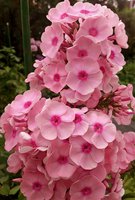IMG_20130812_234043.jpg