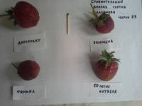20180624_123902.jpg
