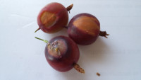 20180628_122559.jpg