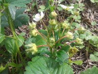 20180623_100357.jpg