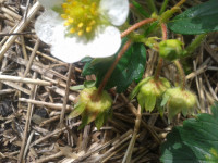20180623_101428.jpg