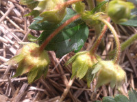 20180623_101436.jpg