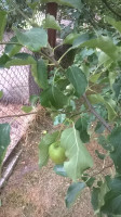 WP_20180701_007.jpg