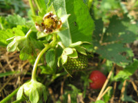 IMG_0868.JPG
