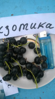 WP_20180704_010.jpg