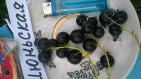 WP_20180704_020.jpg