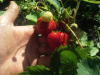 20180702_160208.jpg