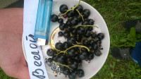 WP_20180704_028.jpg
