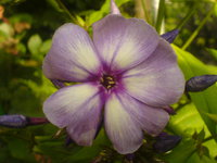 DSC03212.JPG