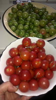 2013-08-16-689.jpg