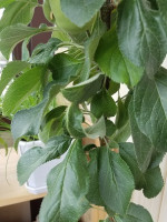 20180707_113255-1.jpg