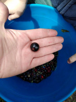 IMG_20180709_124206.jpg
