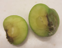20180710_092509.jpg