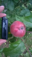WP_20180712_007.jpg
