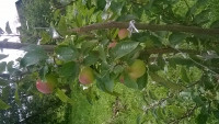 IMG-20180714-WA0003.jpg