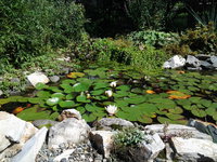 20130818_142521.jpg