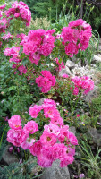 20180701_124455.jpg