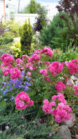 20180701_124444.jpg