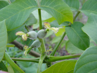 DSC04614.JPG