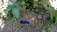 IMG_20180722_144009-min.jpg