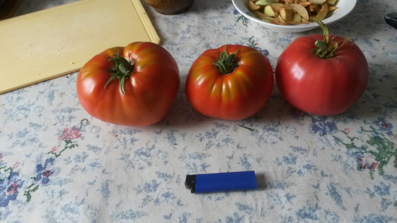 три толстяка (две Аленушки, справа Розовый мед)