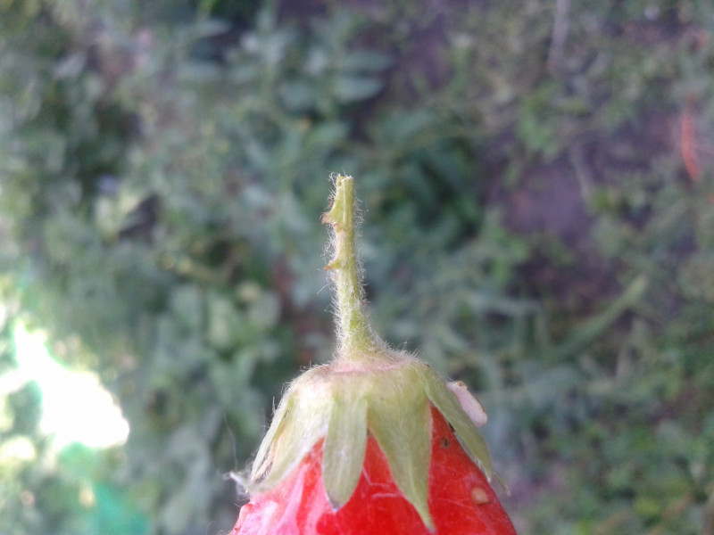 20180727_112637.jpg