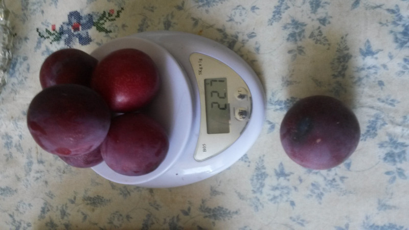 20180731_154656[1].jpg
