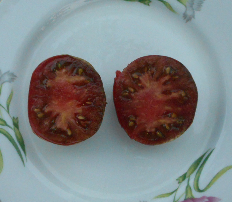 инд мясистый.jpg
