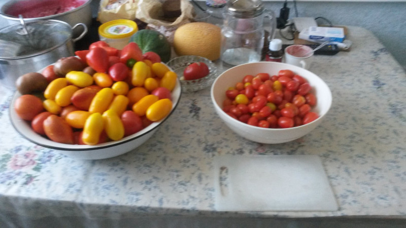 IMG-20180801-WA0015.jpeg