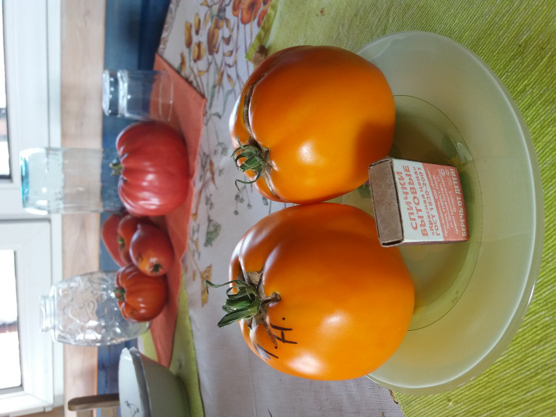 20180804_071754.jpg