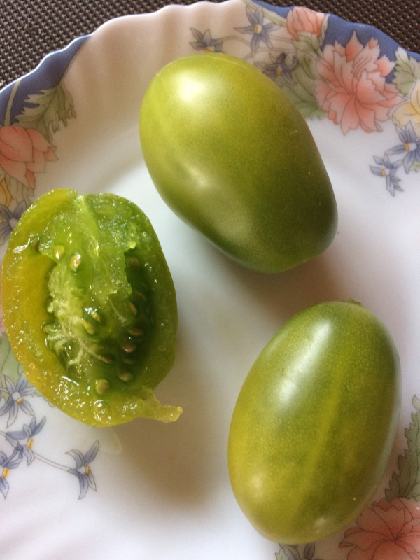 томат Chili Verde8.jpg