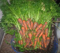 IMG_5346.JPG