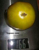 P1010238.JPG